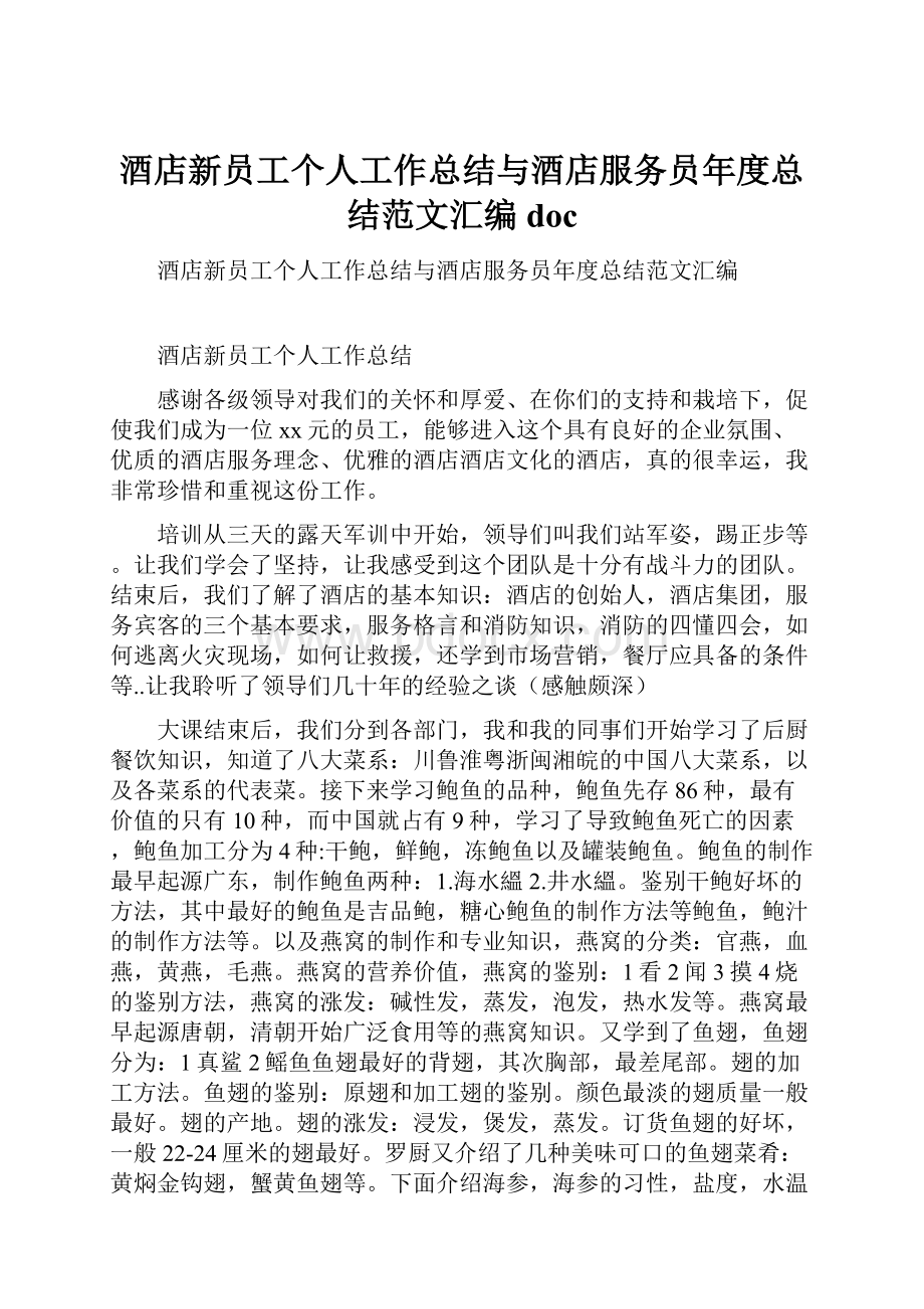 酒店新员工个人工作总结与酒店服务员年度总结范文汇编doc.docx