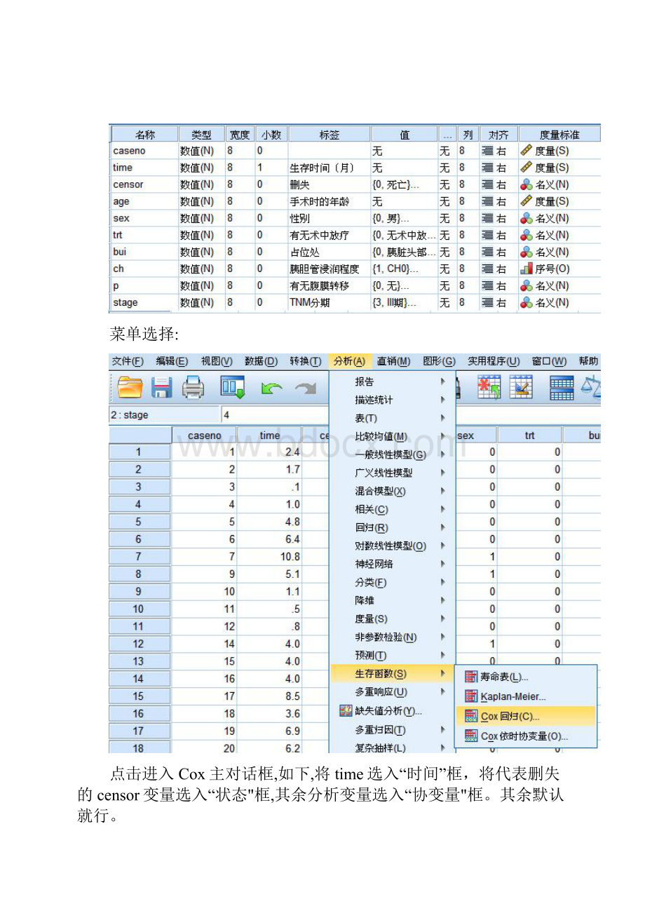 生存分析的cox回归模型案例spss.docx_第3页