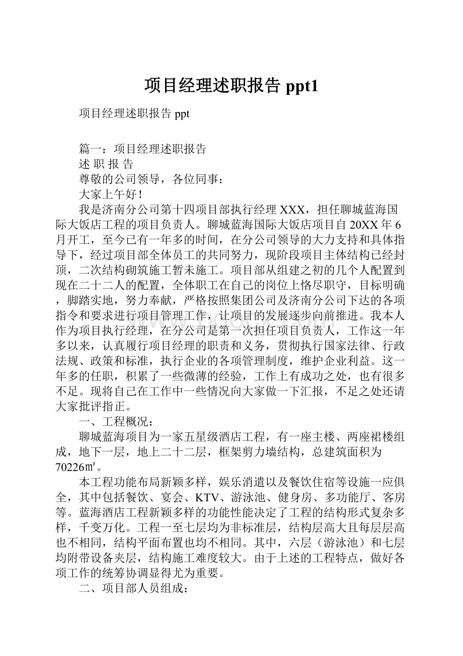 项目经理述职报告ppt1.docx