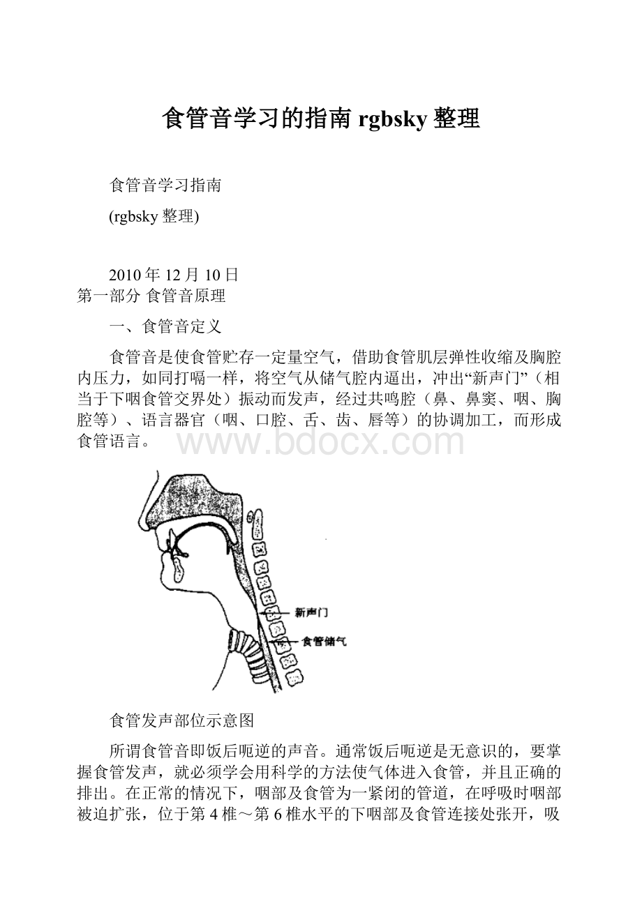 食管音学习的指南rgbsky整理.docx