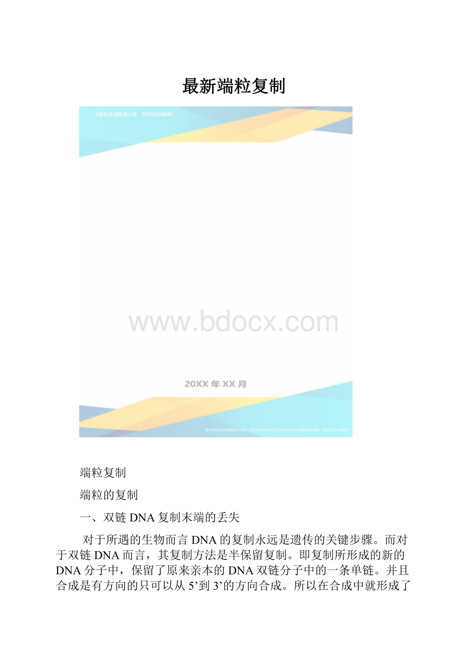 最新端粒复制.docx_第1页