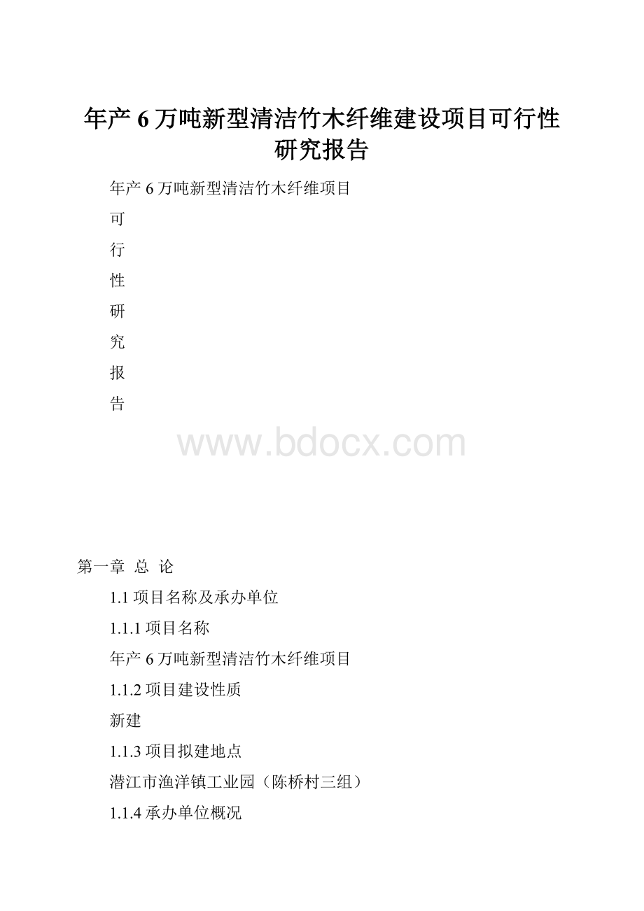 年产6万吨新型清洁竹木纤维建设项目可行性研究报告.docx