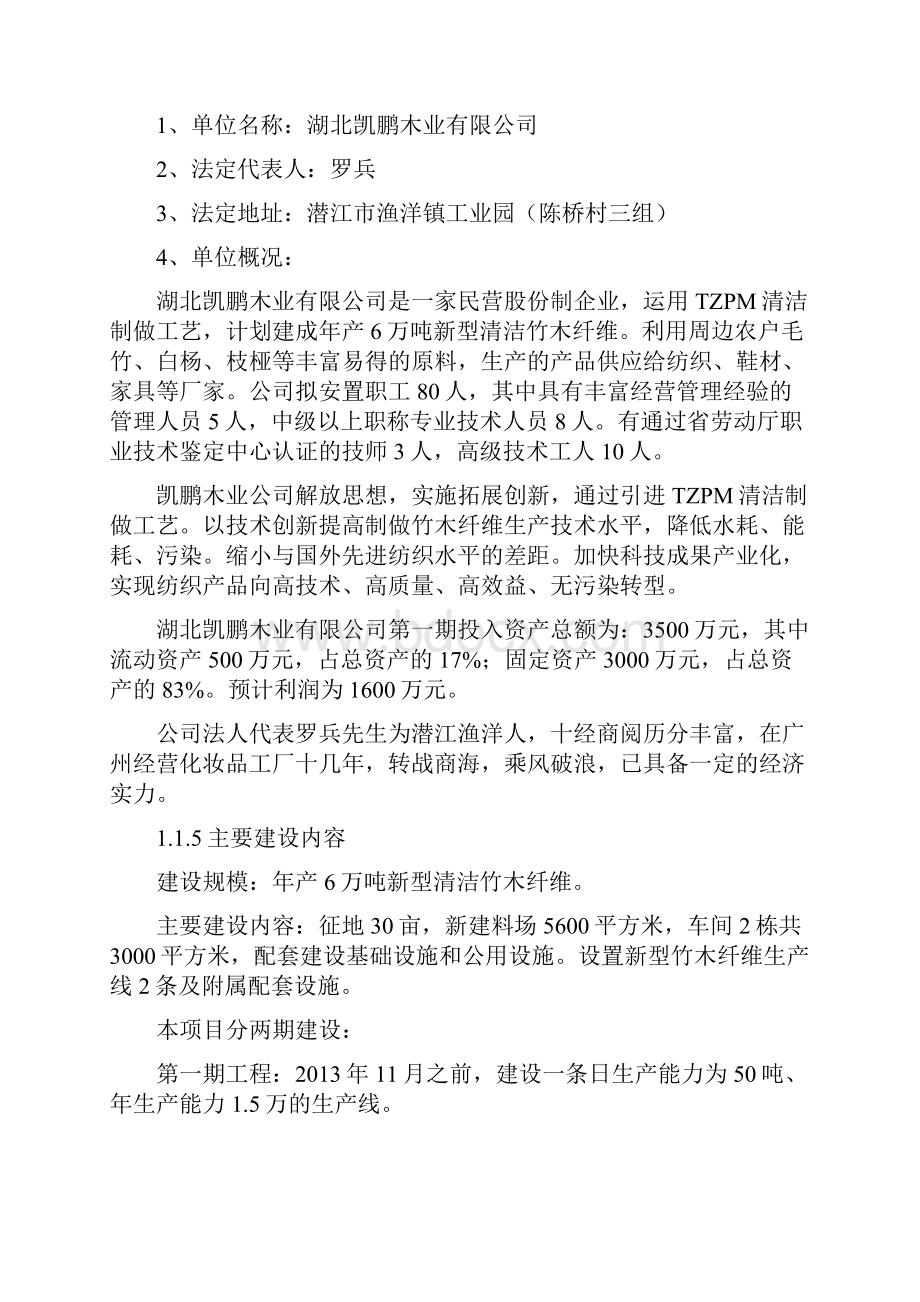 年产6万吨新型清洁竹木纤维建设项目可行性研究报告.docx_第2页