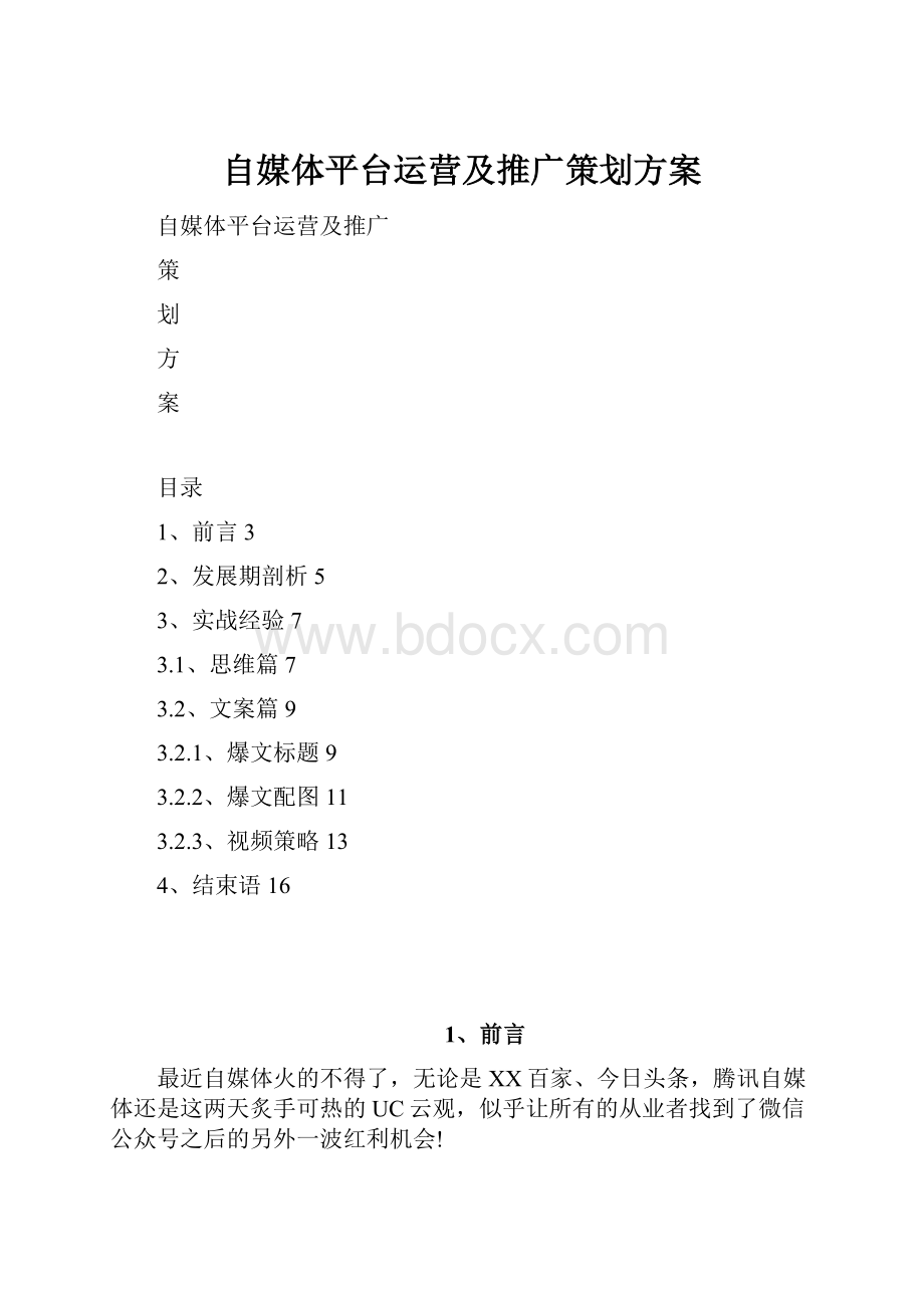 自媒体平台运营及推广策划方案.docx