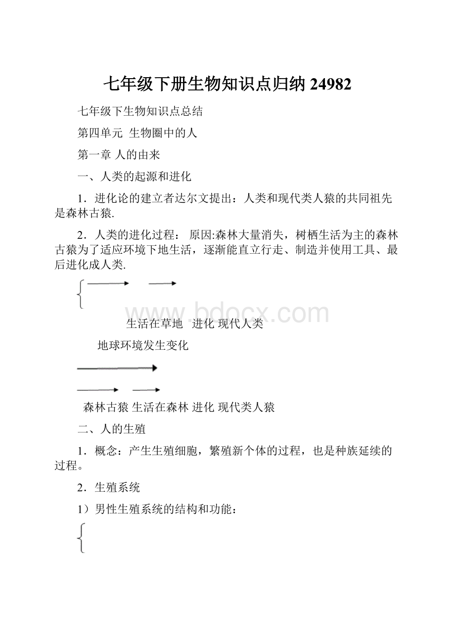 七年级下册生物知识点归纳24982.docx_第1页