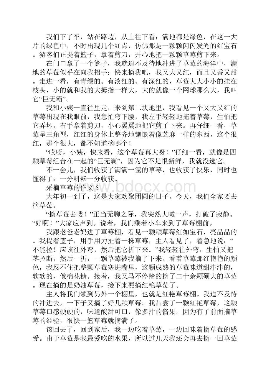 我喜欢草莓作文300字采摘草莓的作文300字.docx_第3页