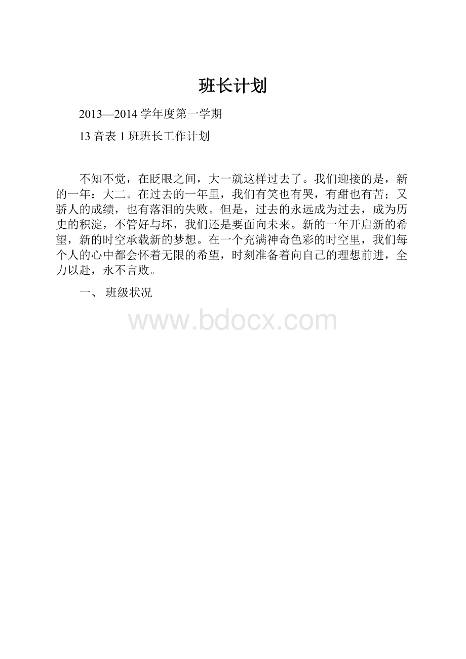 班长计划.docx