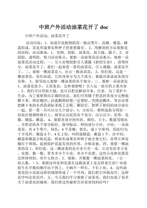 中班户外活动油菜花开了doc.docx