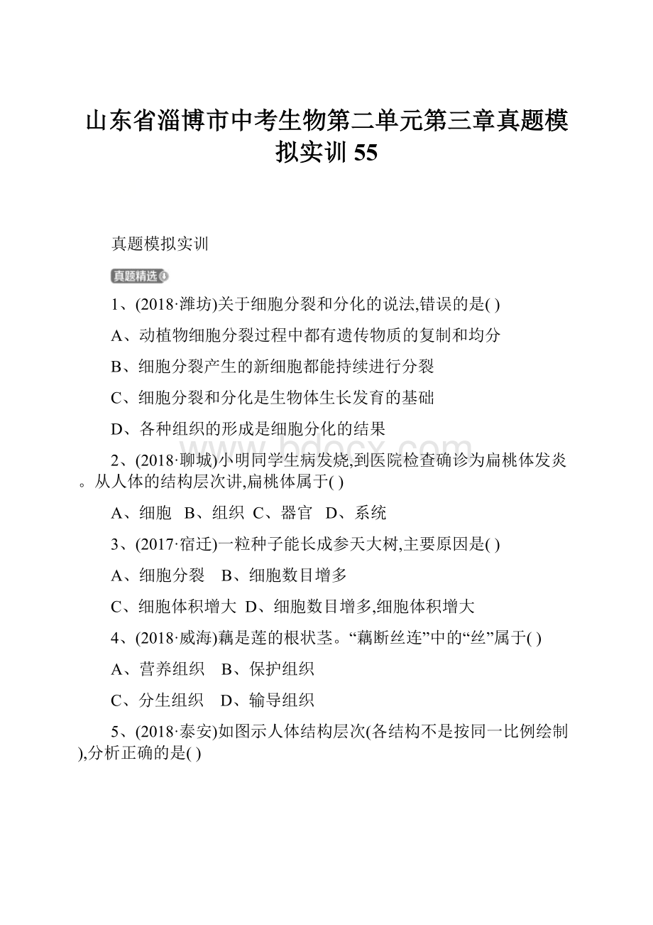 山东省淄博市中考生物第二单元第三章真题模拟实训55.docx