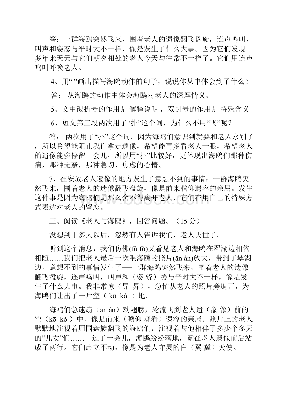 《老人与海鸥》阅读及答案完整版.docx_第2页