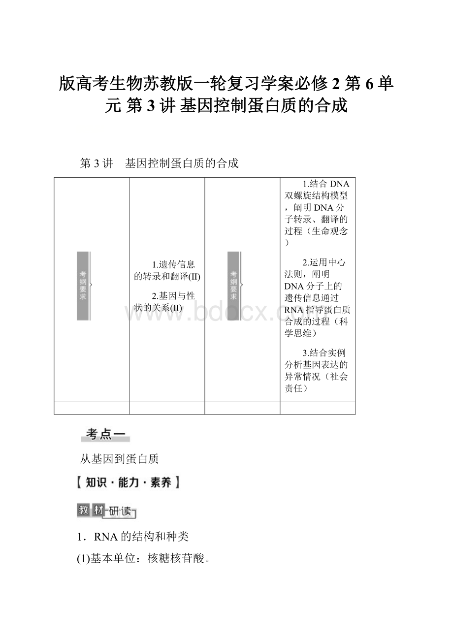 版高考生物苏教版一轮复习学案必修2 第6单元 第3讲 基因控制蛋白质的合成.docx