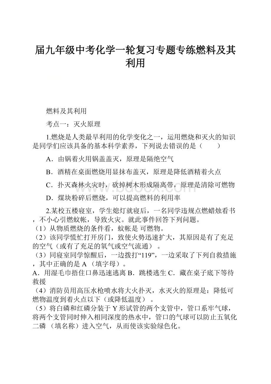 届九年级中考化学一轮复习专题专练燃料及其利用.docx