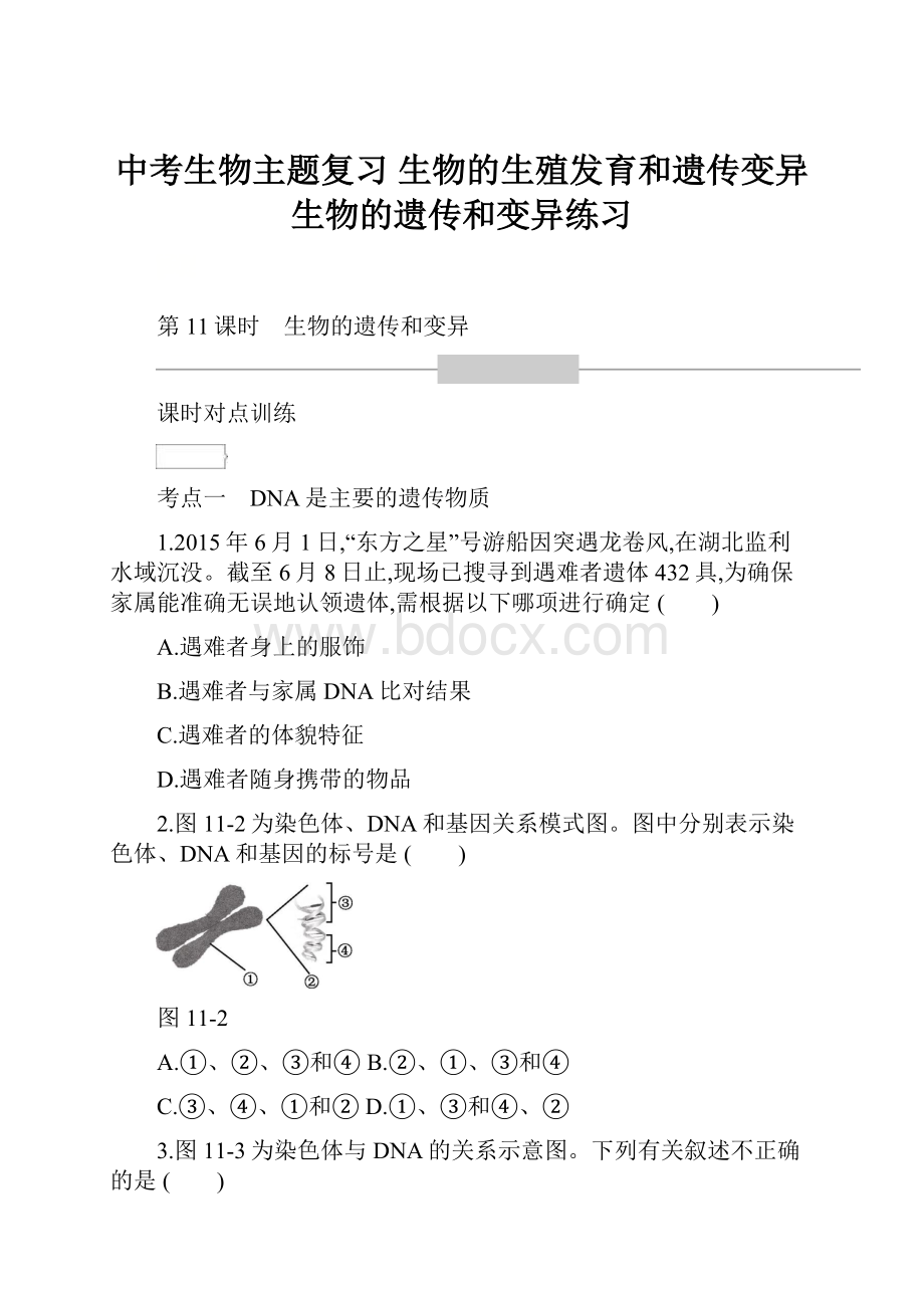 中考生物主题复习 生物的生殖发育和遗传变异 生物的遗传和变异练习.docx_第1页