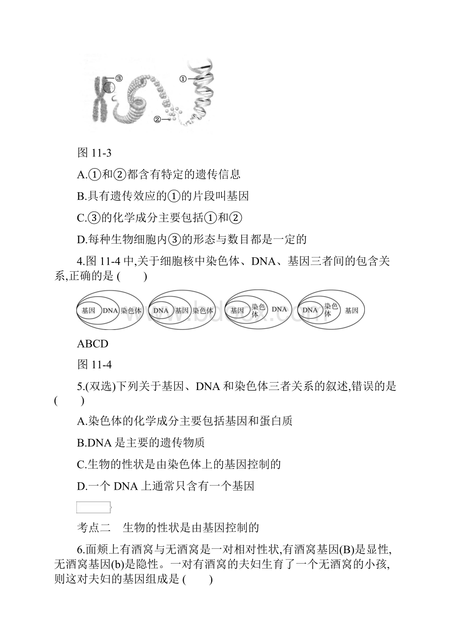 中考生物主题复习 生物的生殖发育和遗传变异 生物的遗传和变异练习.docx_第2页