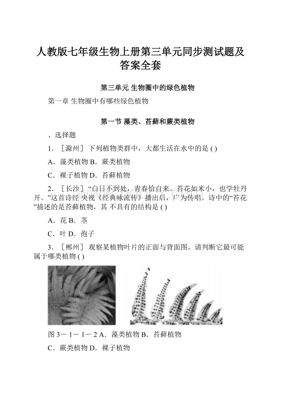 人教版七年级生物上册第三单元同步测试题及答案全套.docx