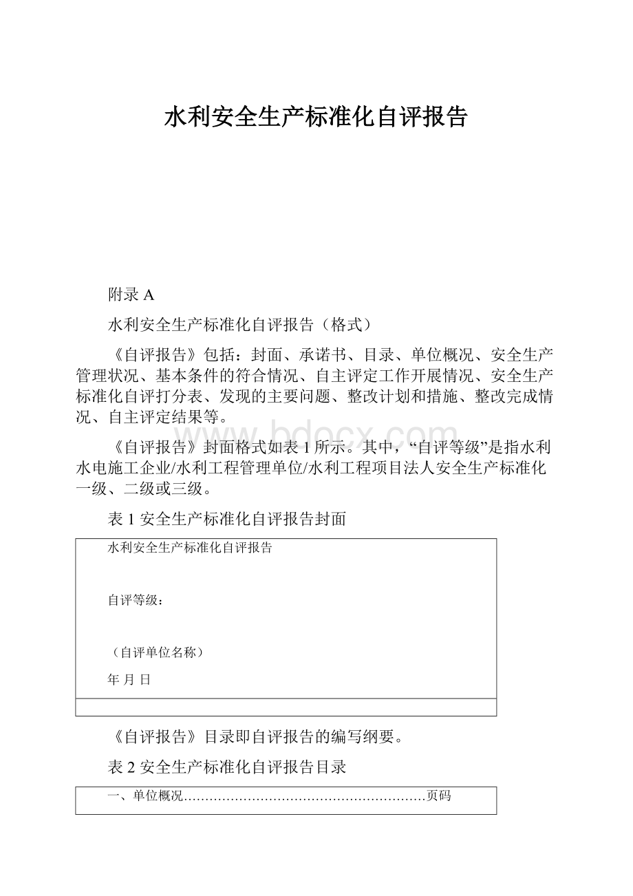 水利安全生产标准化自评报告.docx