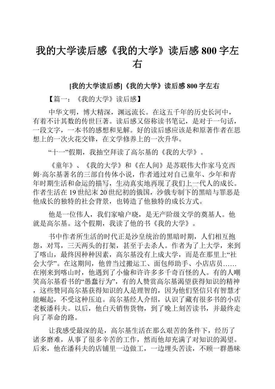 我的大学读后感《我的大学》读后感800字左右.docx