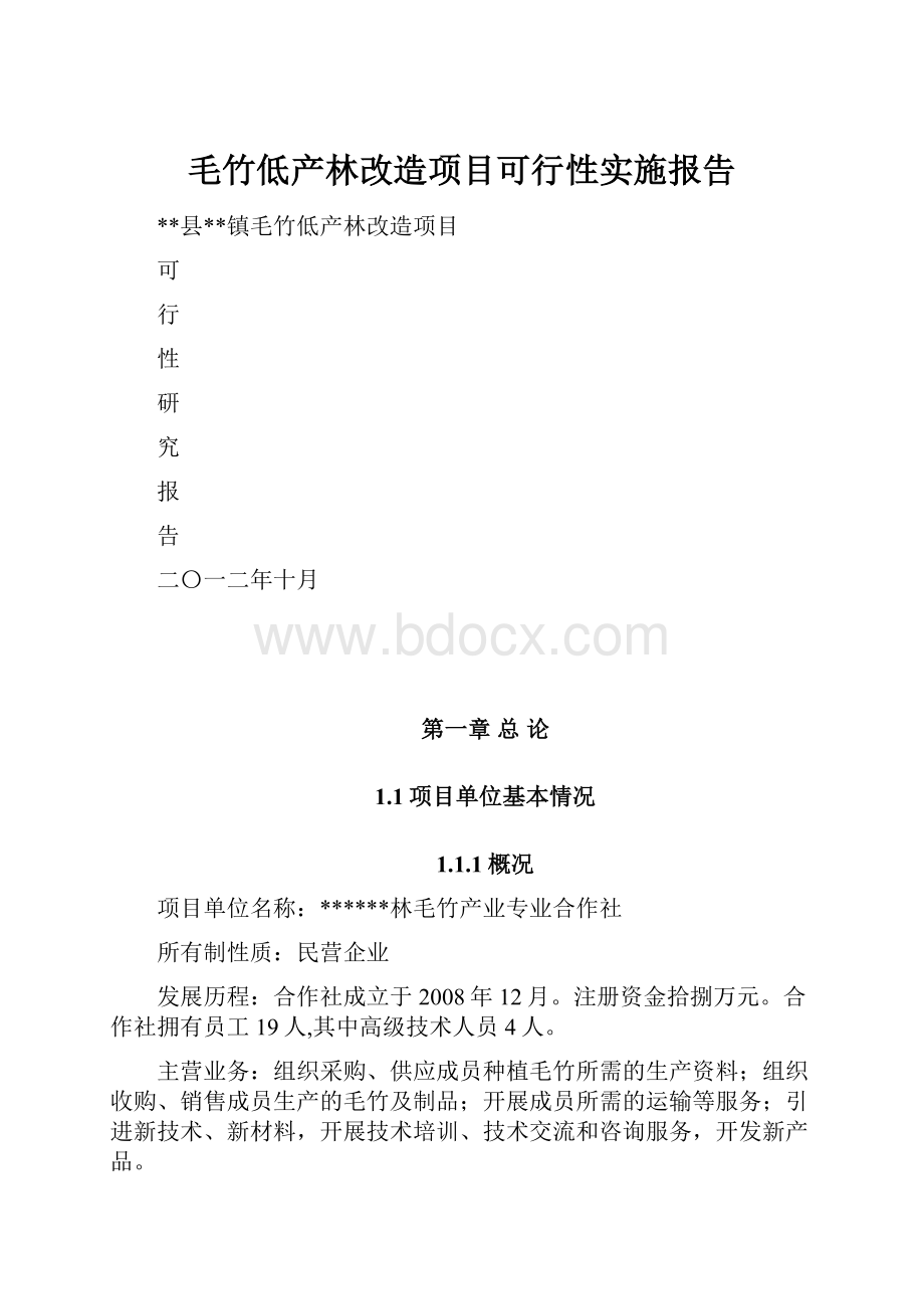 毛竹低产林改造项目可行性实施报告.docx