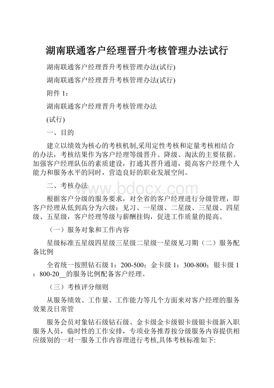 湖南联通客户经理晋升考核管理办法试行.docx