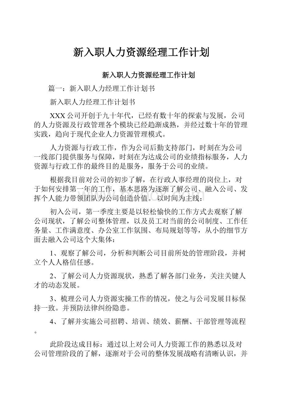 新入职人力资源经理工作计划.docx