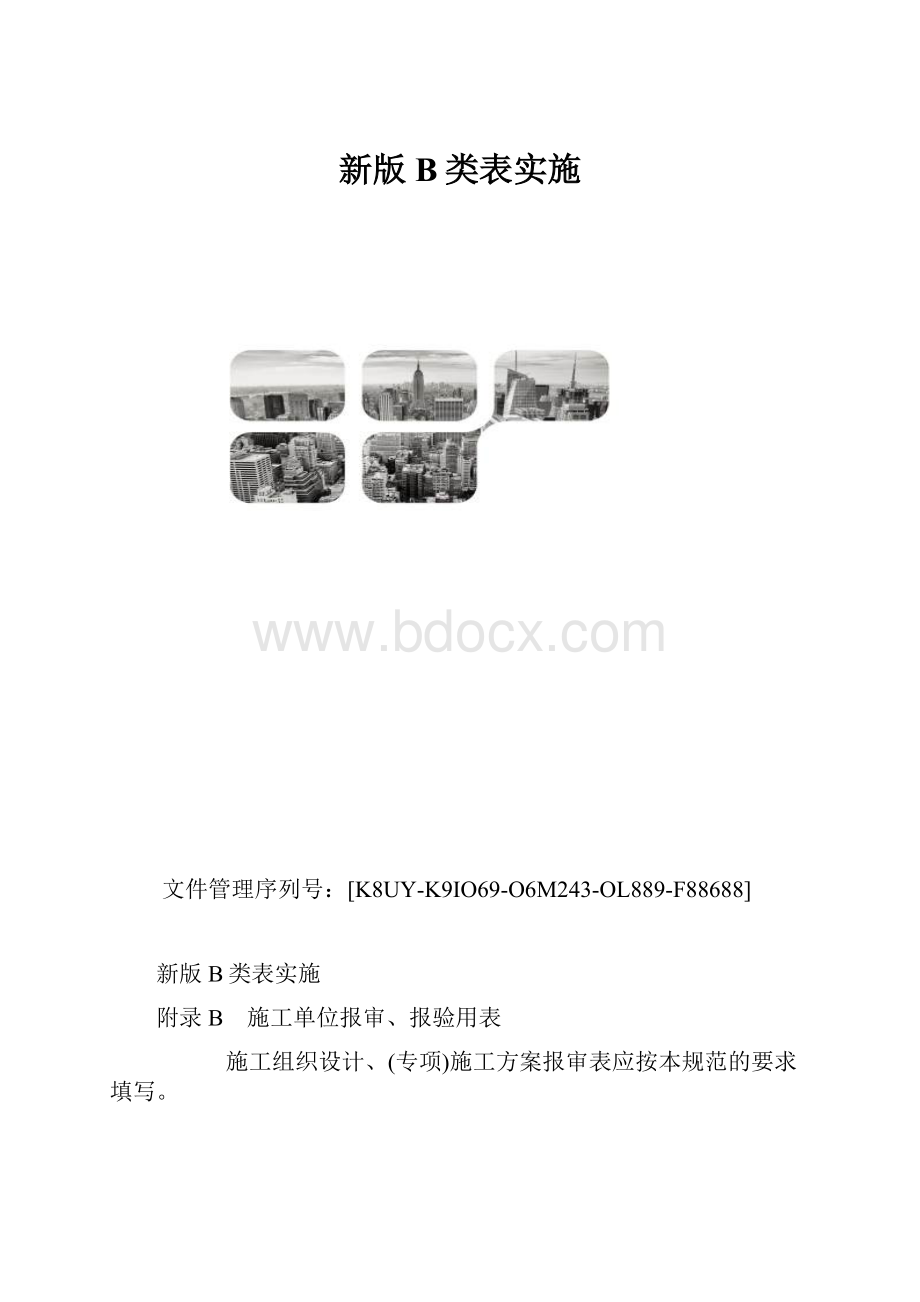 新版B类表实施.docx