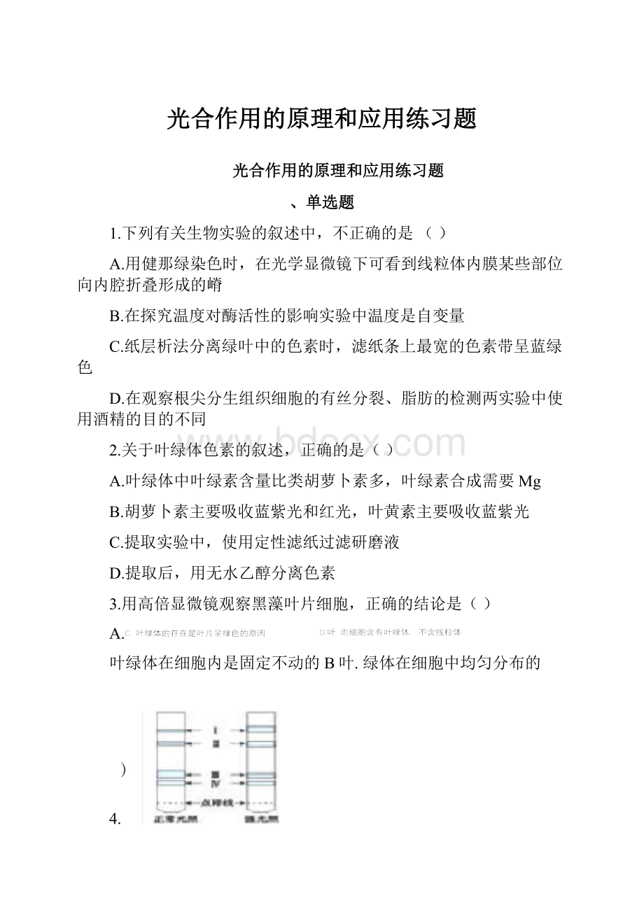 光合作用的原理和应用练习题.docx_第1页