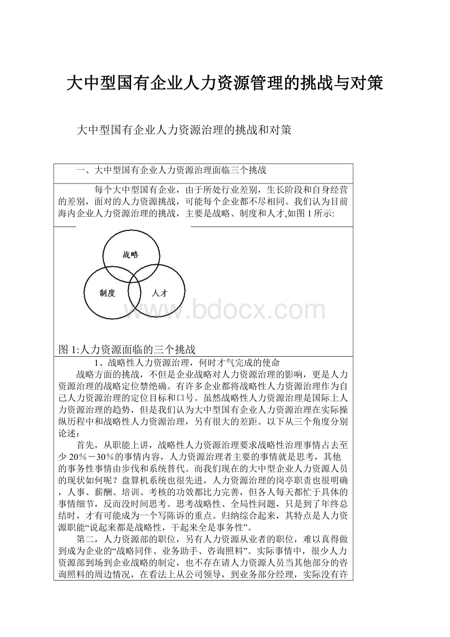 大中型国有企业人力资源管理的挑战与对策.docx