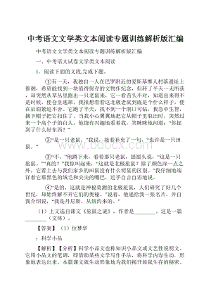 中考语文文学类文本阅读专题训练解析版汇编.docx