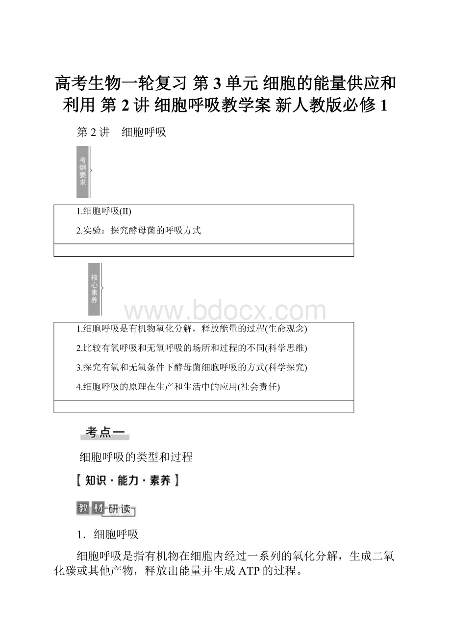 高考生物一轮复习 第3单元 细胞的能量供应和利用 第2讲 细胞呼吸教学案 新人教版必修1.docx