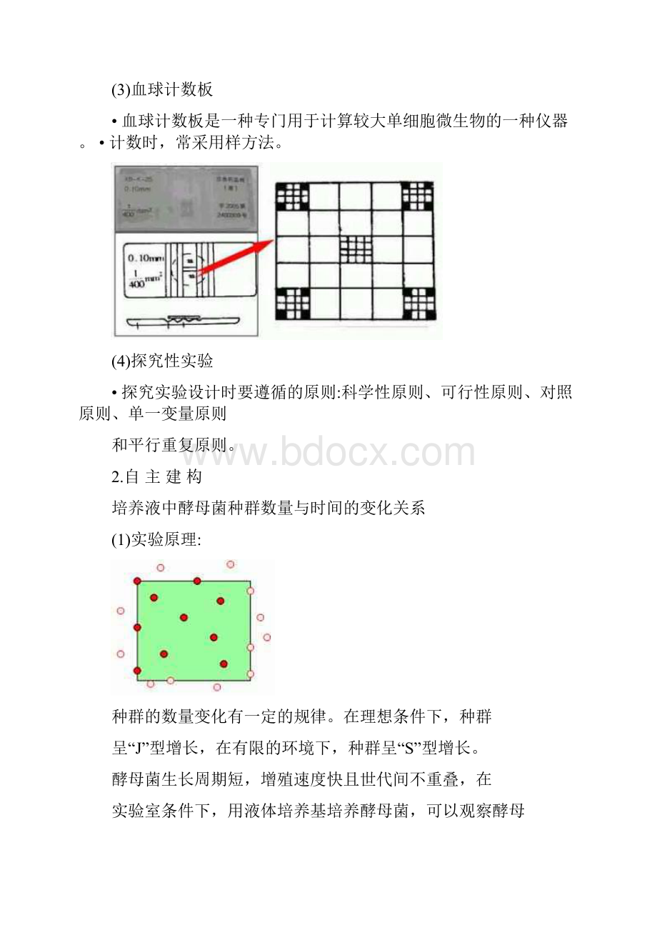 整理探究培养液中酵母菌种群数量的动态变化.docx_第3页