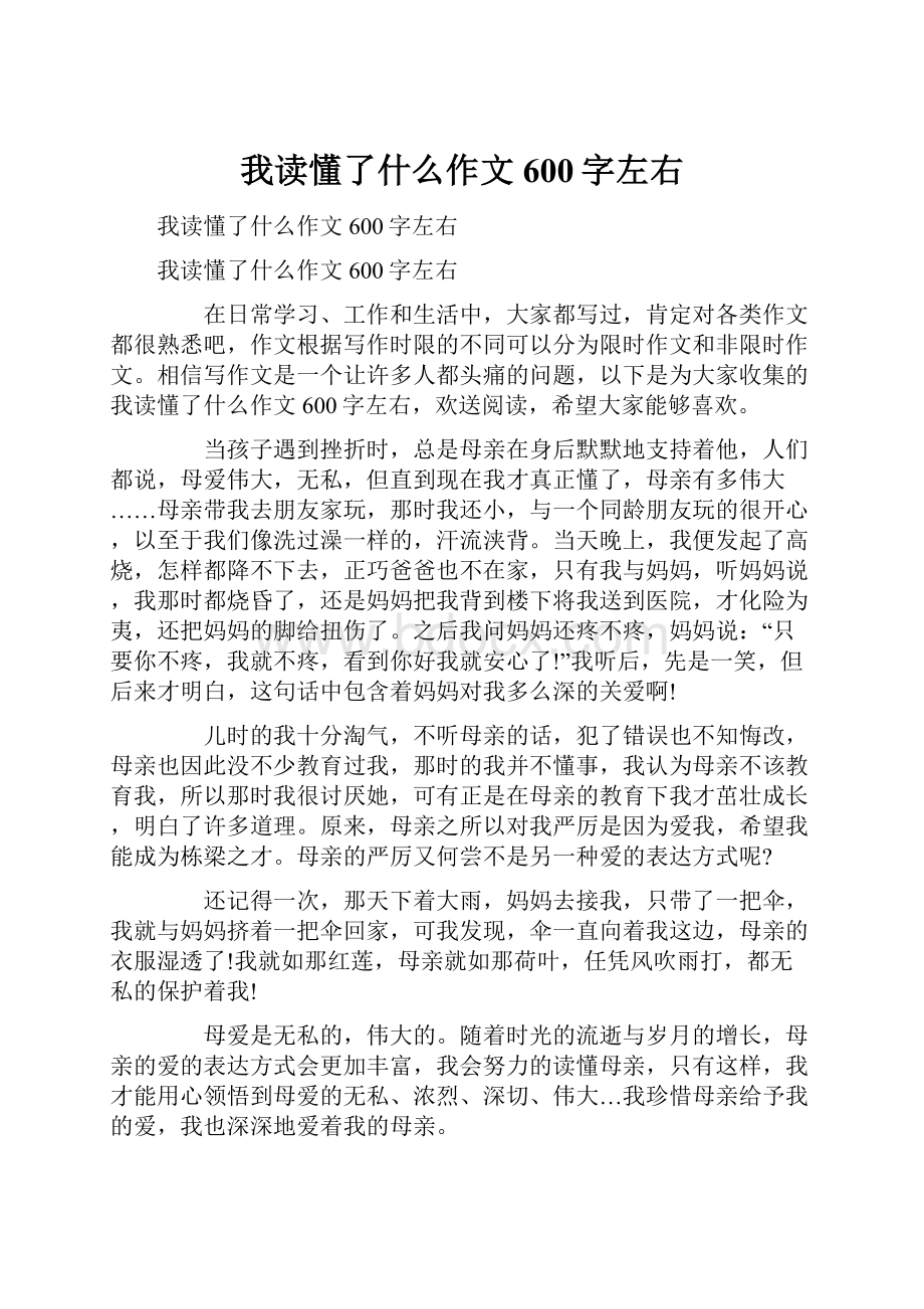 我读懂了什么作文600字左右.docx_第1页