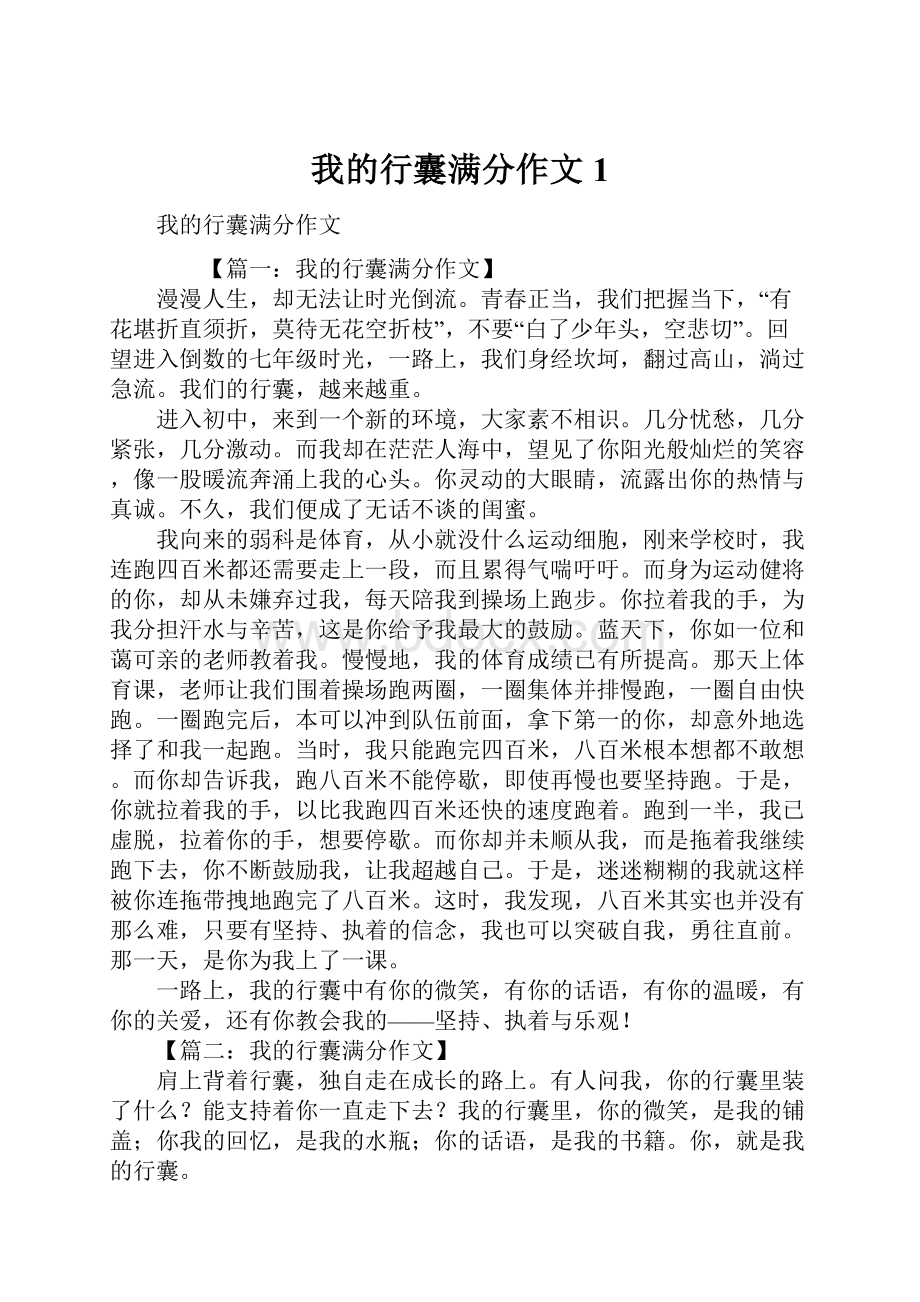 我的行囊满分作文1.docx