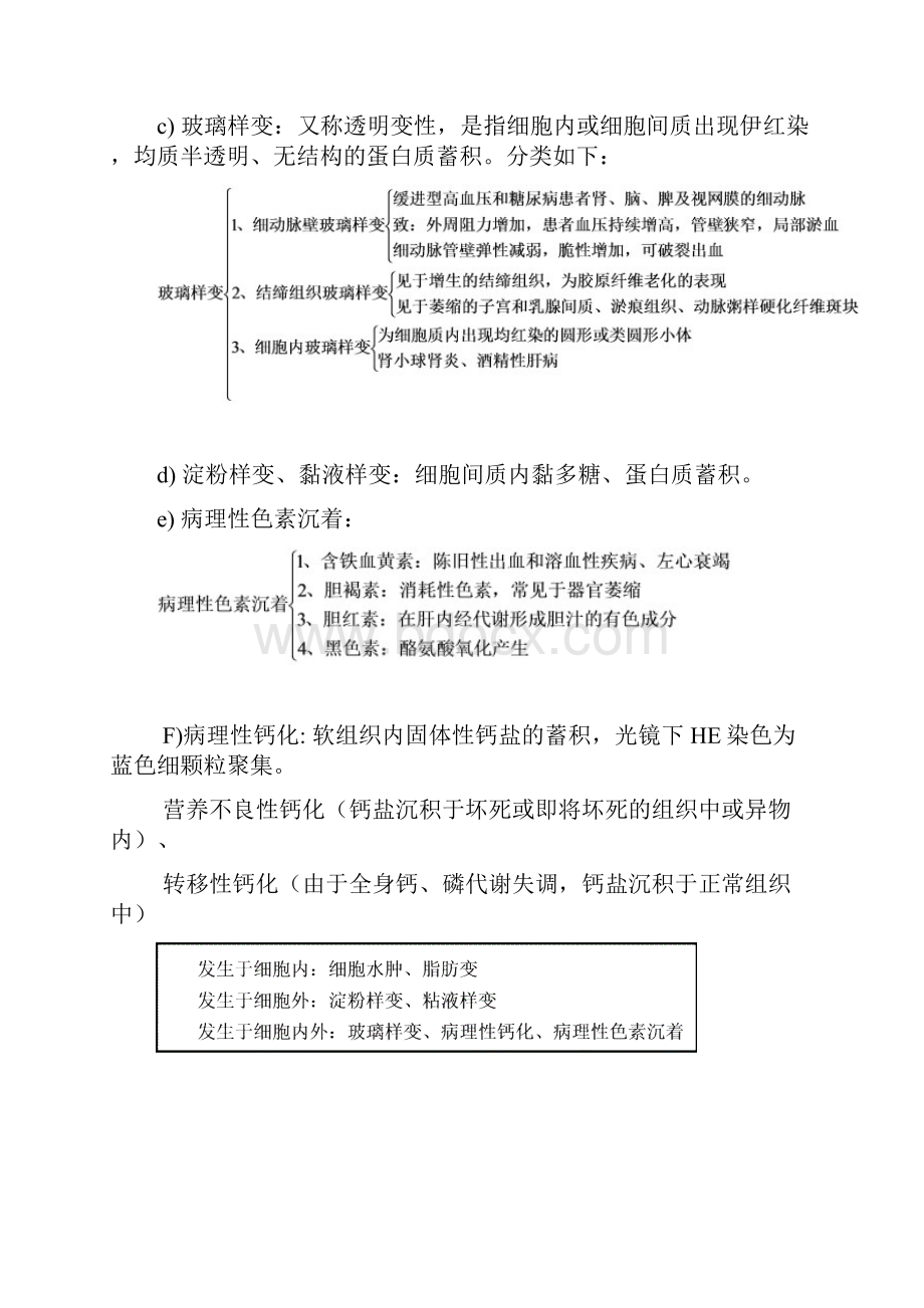 病理学知识点归纳重点汇总.docx_第3页