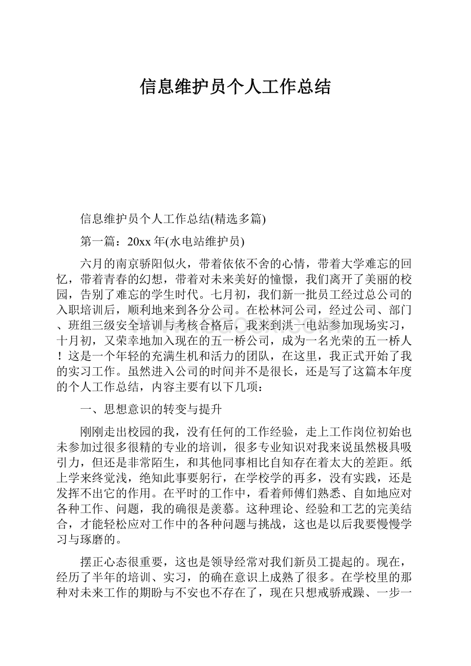 信息维护员个人工作总结.docx