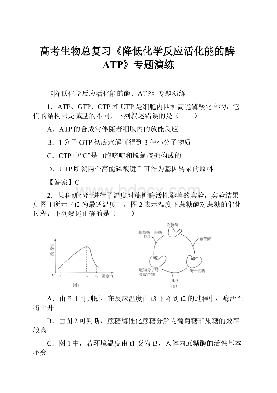 高考生物总复习《降低化学反应活化能的酶ATP》专题演练.docx