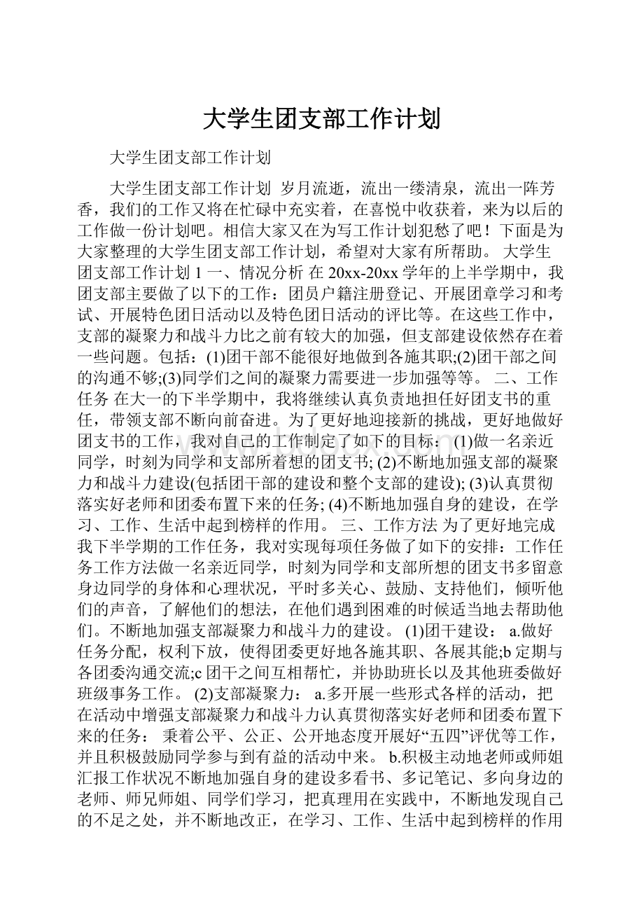 大学生团支部工作计划.docx