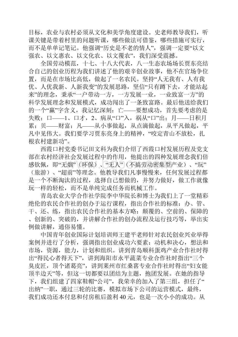 大学生村官培训心得.docx_第3页