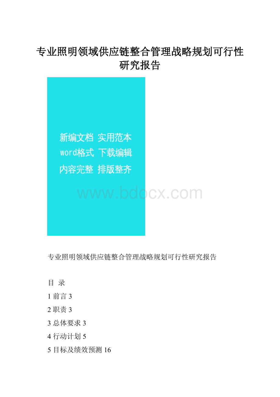 专业照明领域供应链整合管理战略规划可行性研究报告.docx_第1页