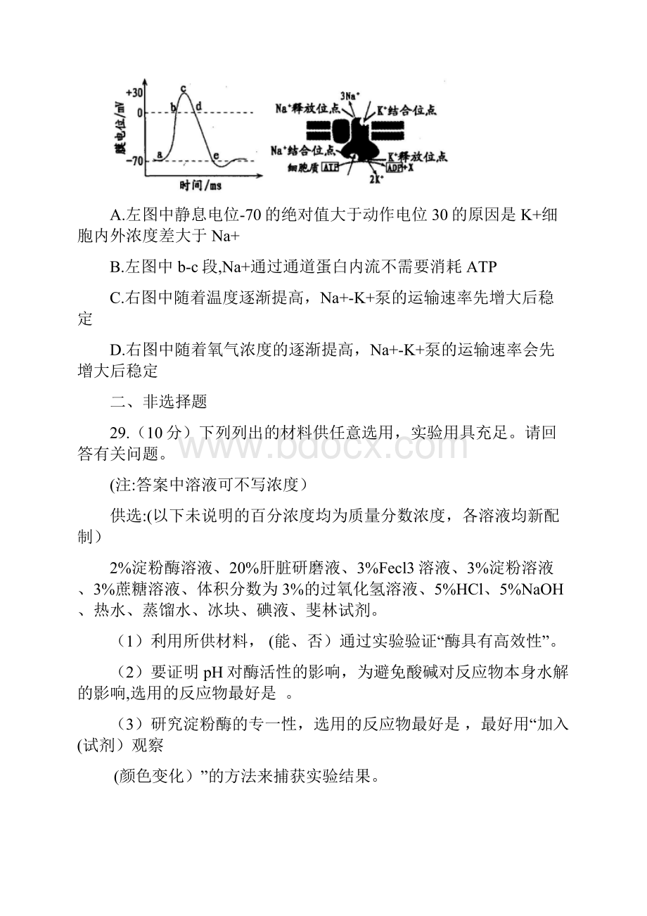 江西省南昌市高三第三次模拟考试理综生物试题参考答案.docx_第3页