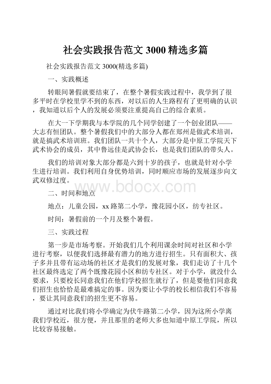 社会实践报告范文3000精选多篇.docx