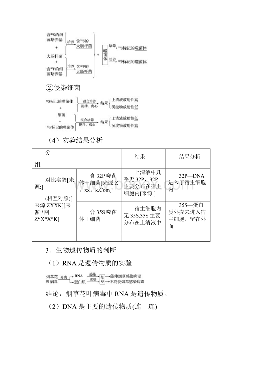 考点27 人类对遗传物质的探索过程高考生物考点练习解析.docx_第3页