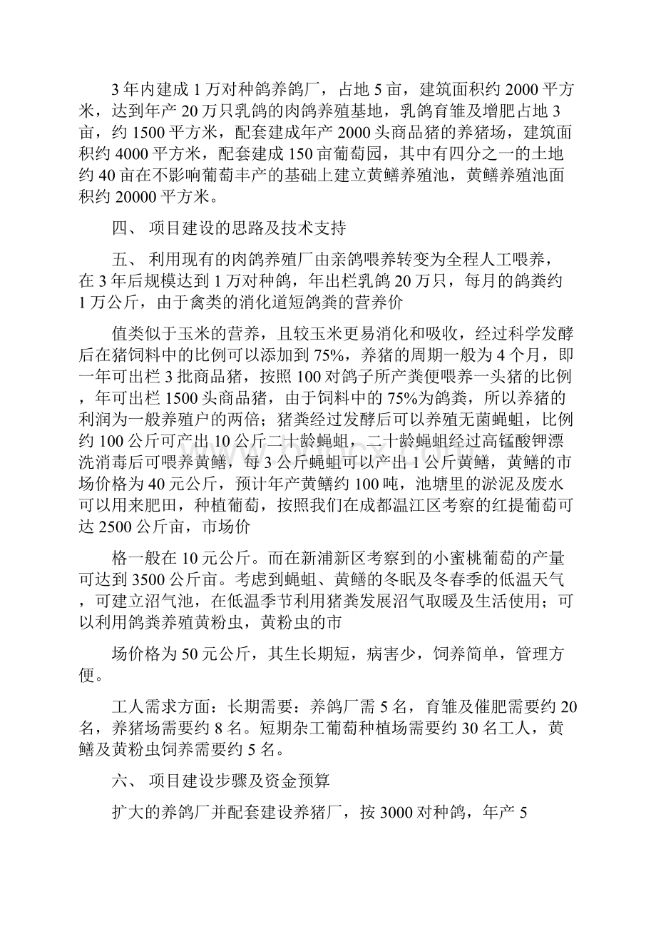 强烈推荐肉鸽生态养殖场综合建设项目可研报告.docx_第2页