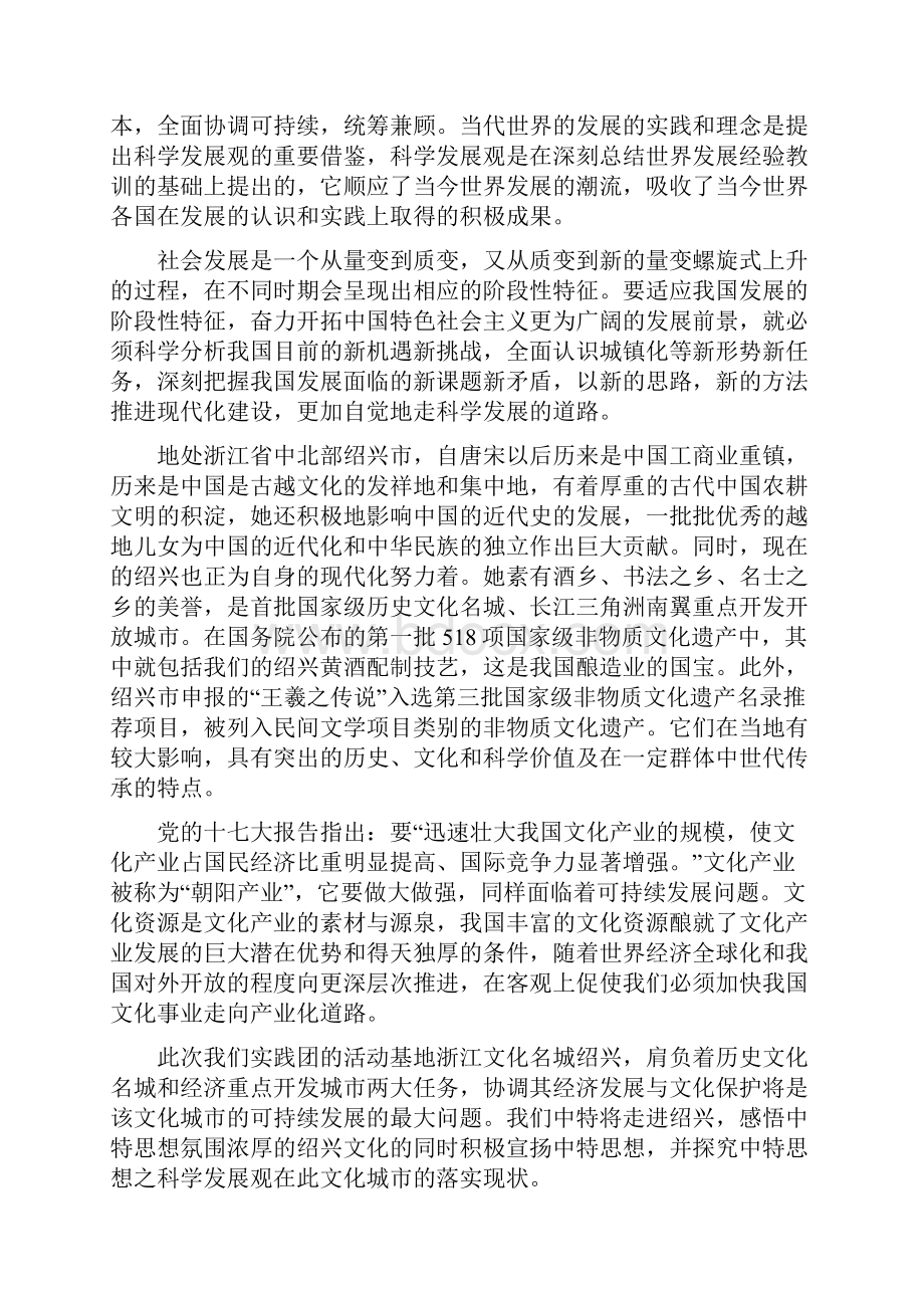 党团中特暑期社会实践策划.docx_第2页