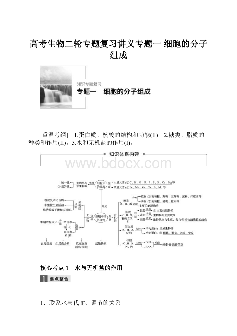 高考生物二轮专题复习讲义专题一 细胞的分子组成.docx