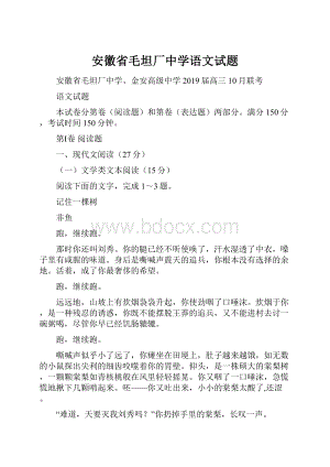 安徽省毛坦厂中学语文试题.docx