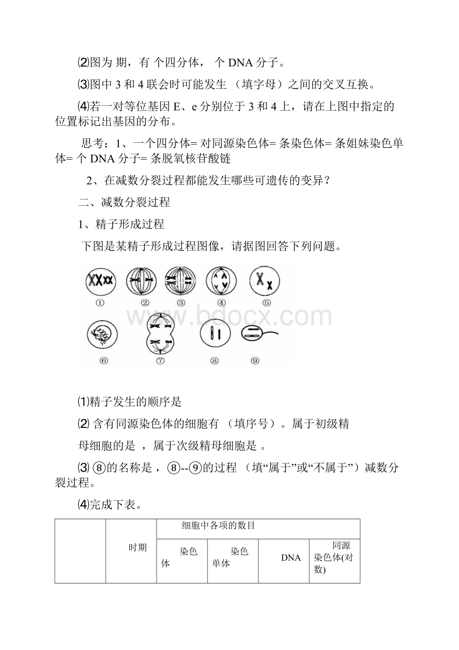 导与练届高三生物一轮复习学案第14讲 减数分裂和受精作用.docx_第2页