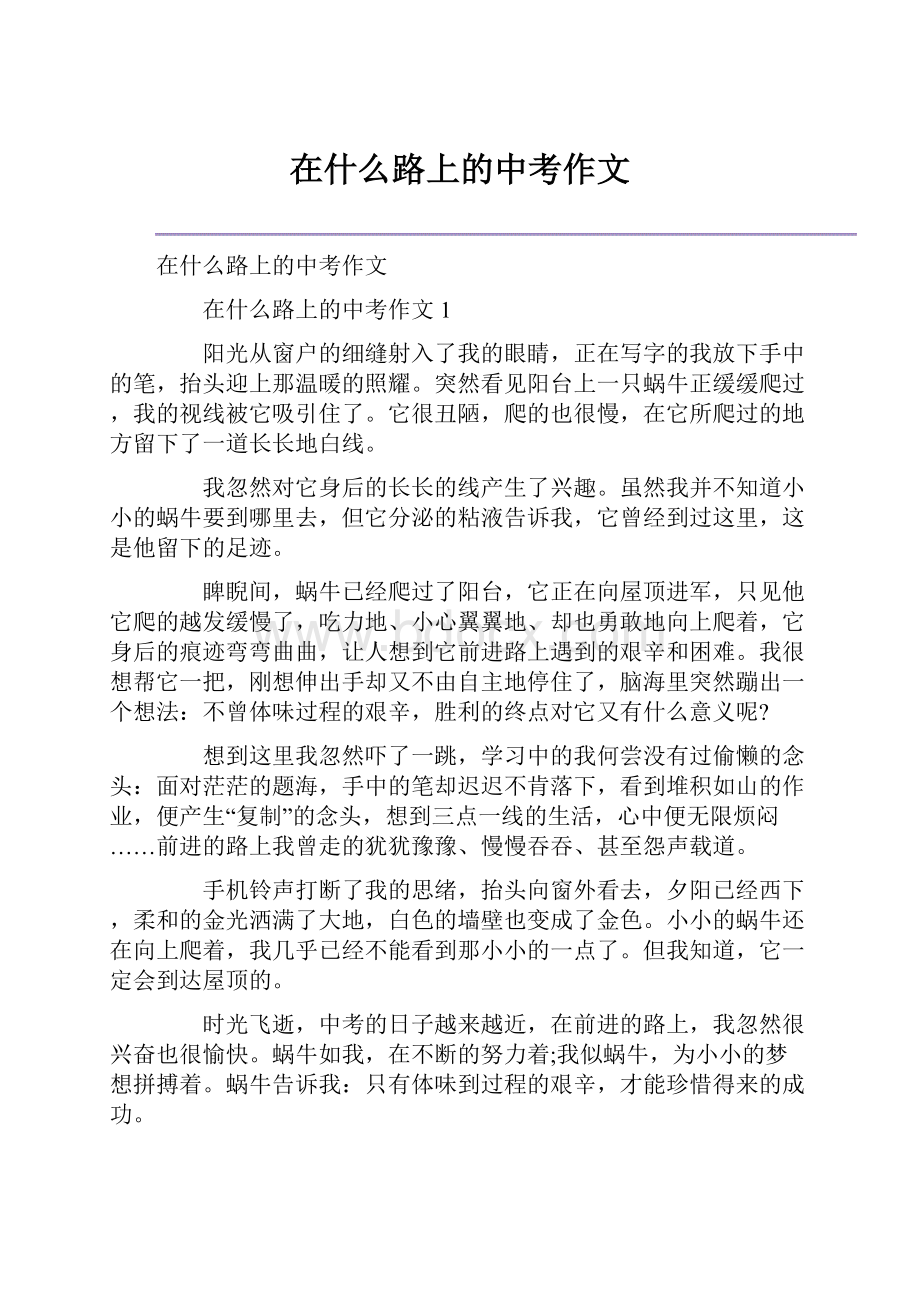 在什么路上的中考作文.docx