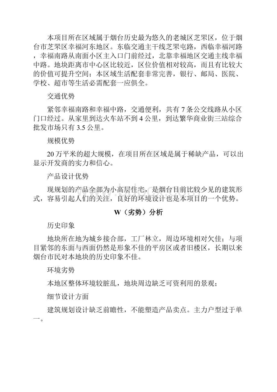 新世界营销策略规划方案分析.docx_第2页