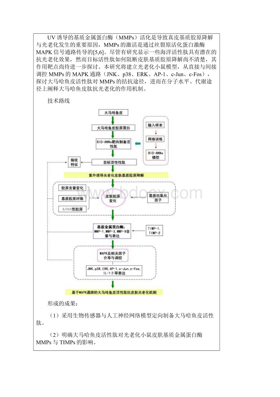 信息检索作业模版.docx_第2页