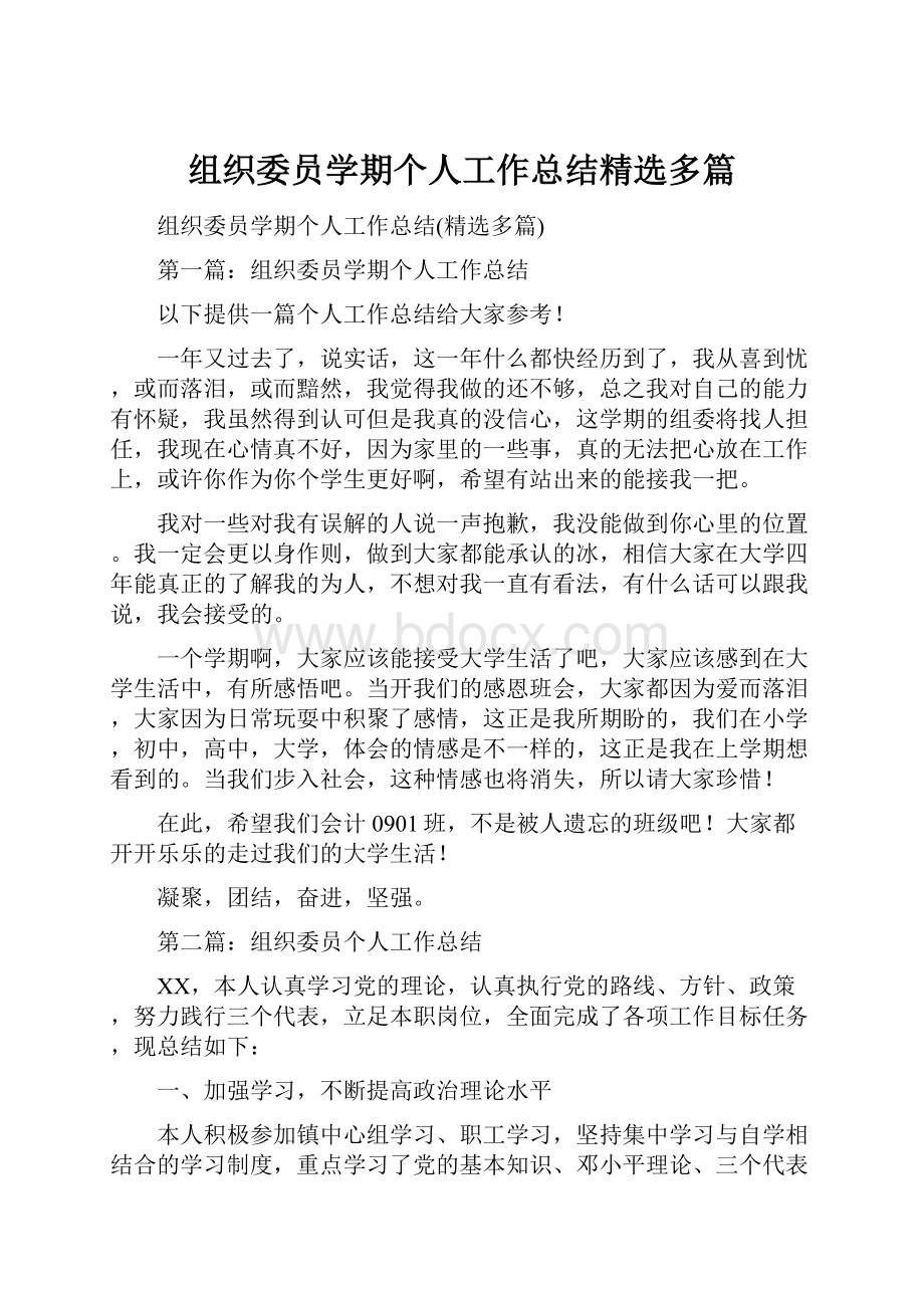 组织委员学期个人工作总结精选多篇.docx